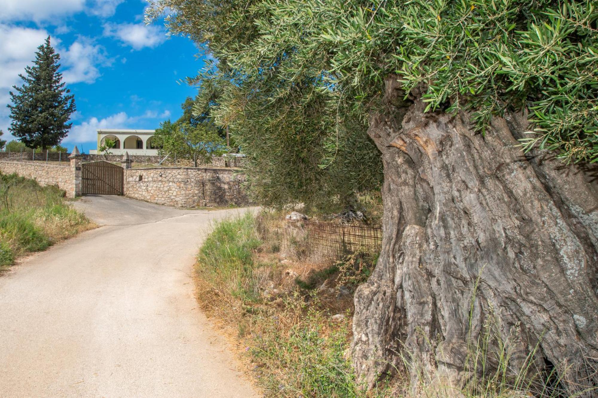 Leandros Private House Near Shipwreck Beach By "Elite" Maries (Zakynthos) Exterior foto